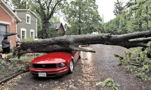 Storm damage in Ohio caused by the 2012 derecho and widespread power outages